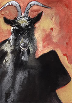 Goya's goat variation 1